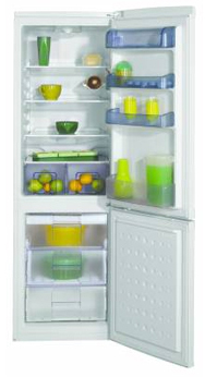 Холодильник Beko CSA 29010 83832 фото