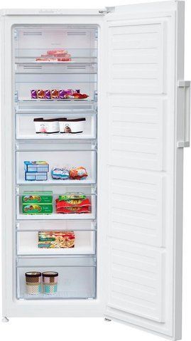 Морозильная камера Beko RFNE 290 L21W 291999 фото