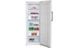 Морозильная камера Beko RFNK 290 T21W 573697 фото 2